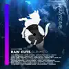 Various Artists - Raw Cuts Summer